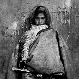 黄色电影一级人跟动物
