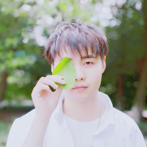 黄色电影一级人跟动物
