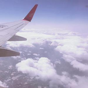 黄色电影一级人跟动物
