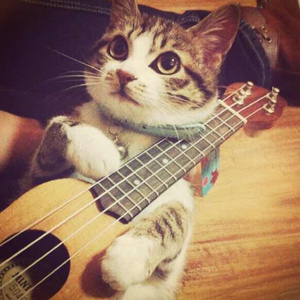 黄色电影一级人跟动物
