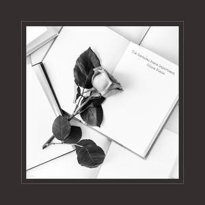 黄色电影一级人跟动物
